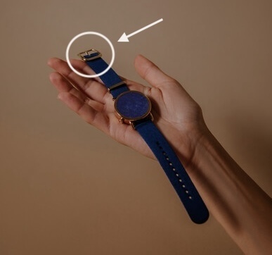 Buckle strap highlighted.
