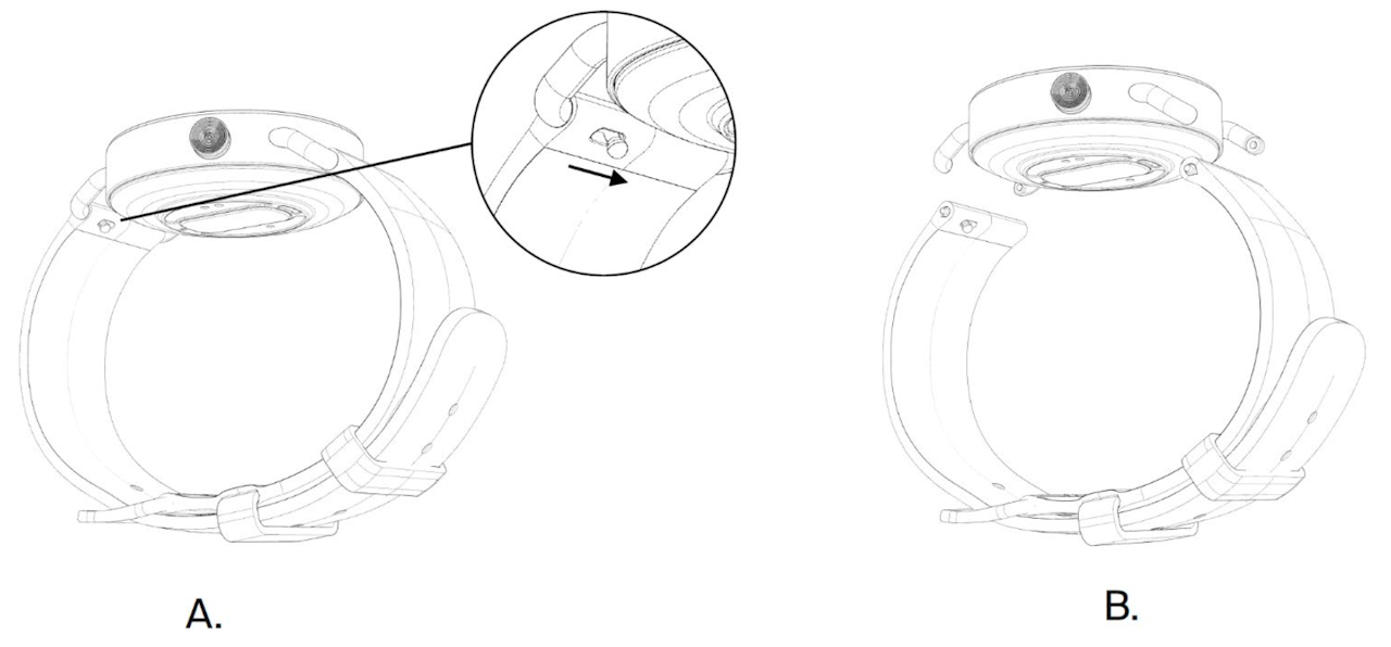 straps.png