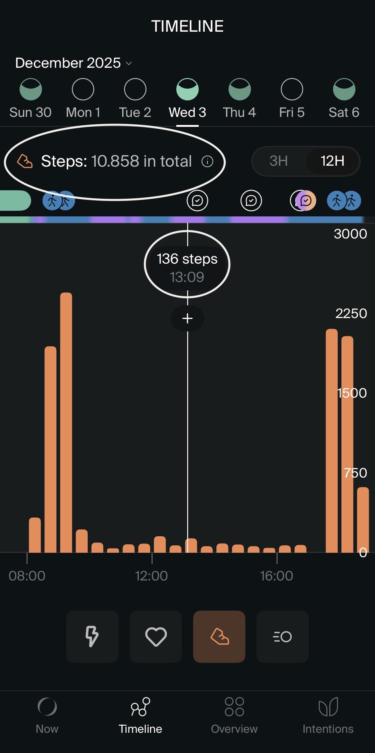 Steps timeline.jpg