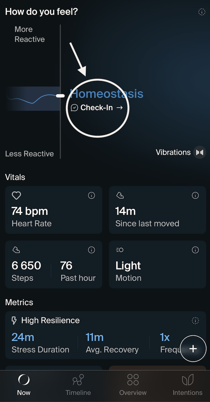 Screenshot 2026-08-19 at 17.09.35.png